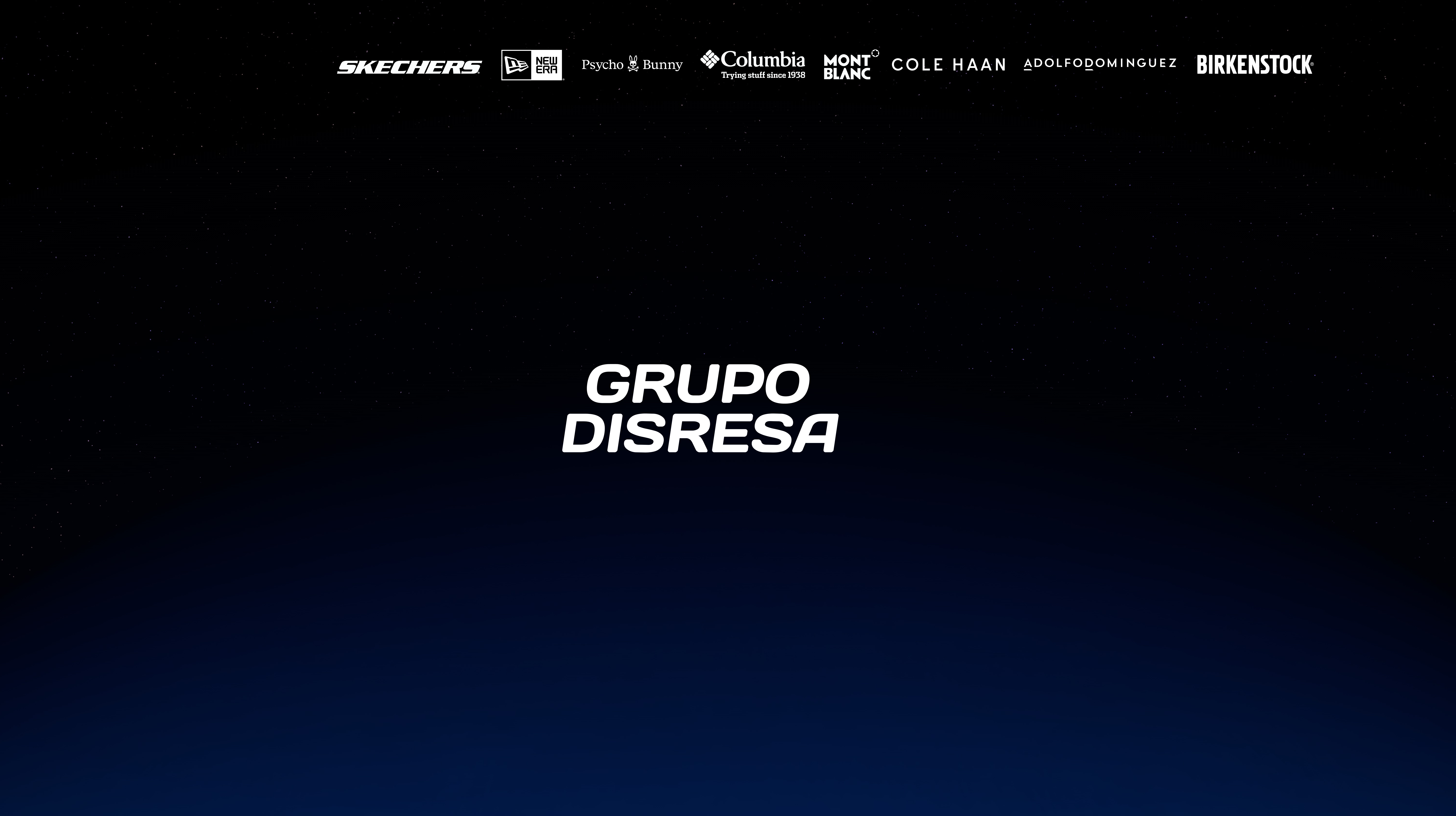 Grupo Disresa